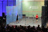 glas-court-squash-6