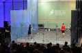 glas-court-squash-6-2